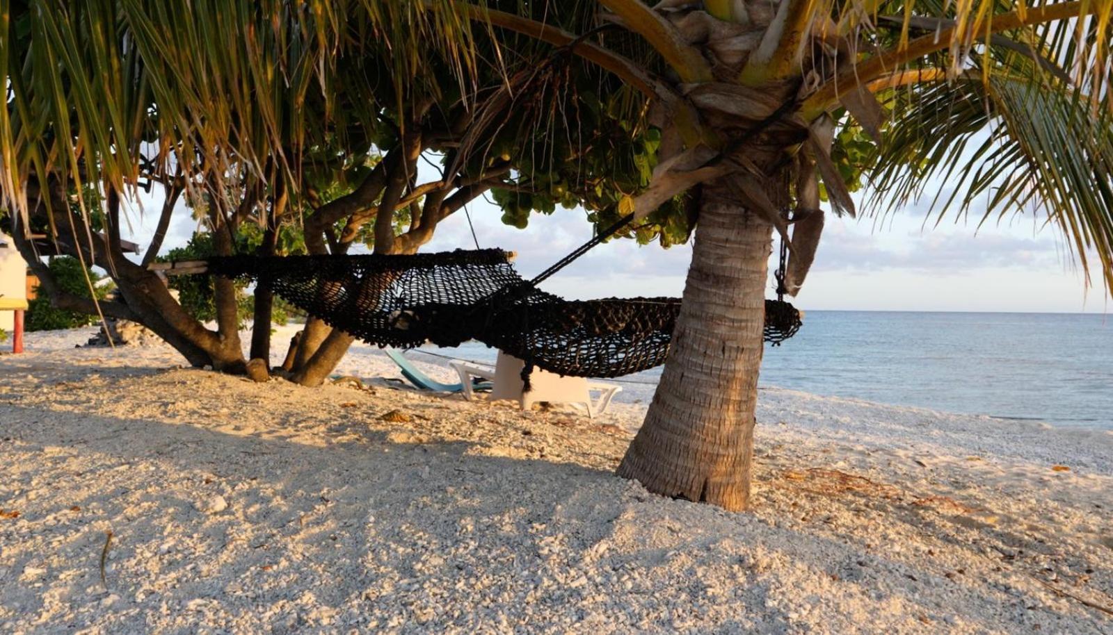 Hotel Rangiroa Bliss Tiputa Zewnętrze zdjęcie